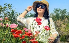 齐家三兄弟玩具